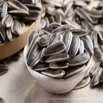 wholesale 2019 China Inner mongolia black sunflower seeds